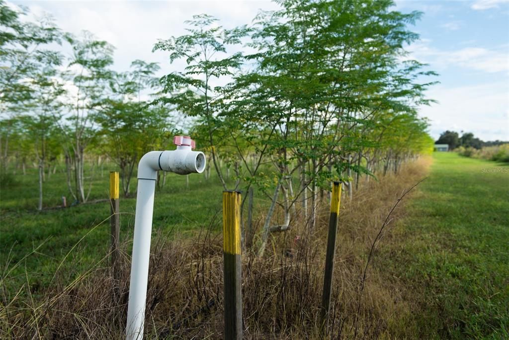 For Sale: $1,135,000 (22.70 acres)