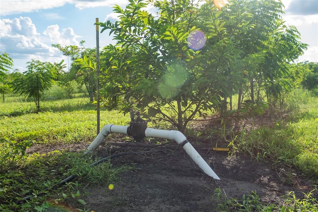 For Sale: $1,135,000 (22.70 acres)