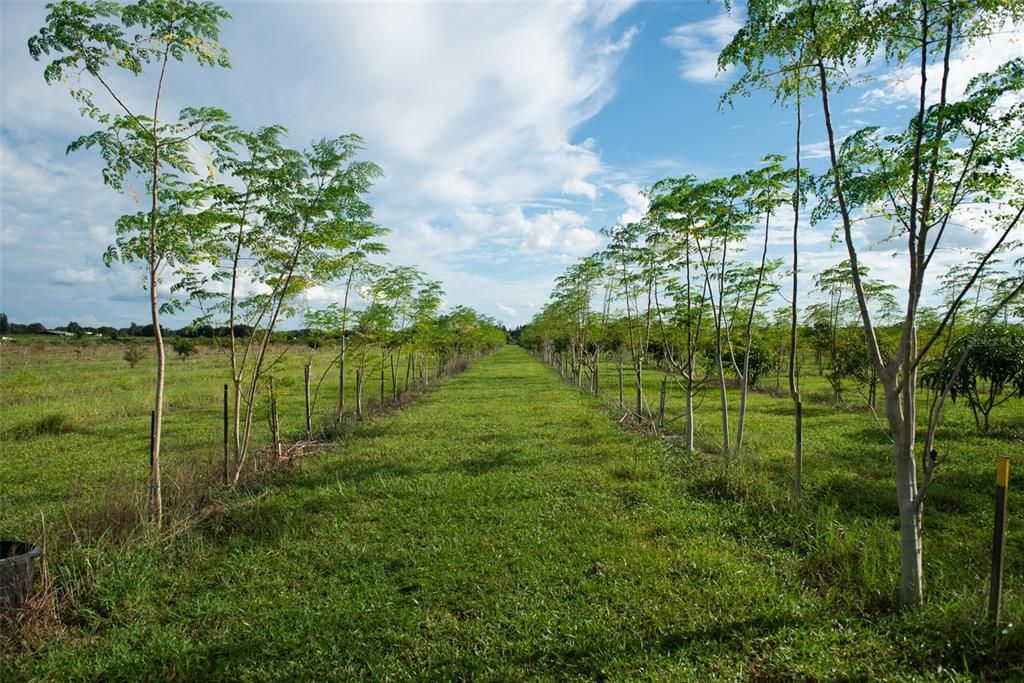 For Sale: $1,135,000 (22.70 acres)