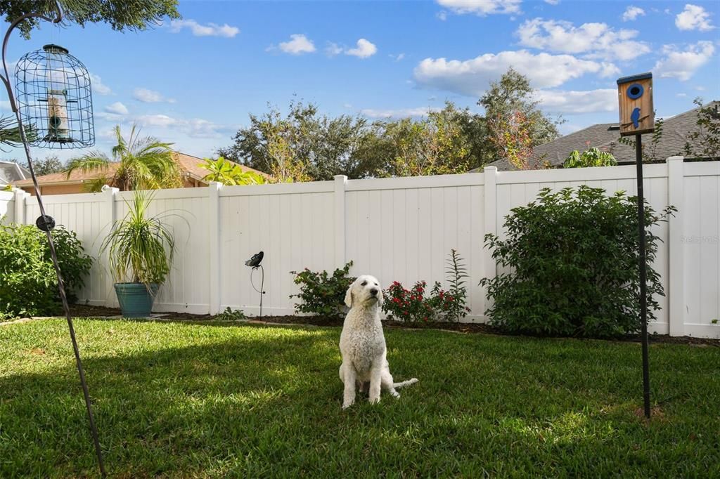 Active With Contract: $2,450 (3 beds, 2 baths, 1607 Square Feet)