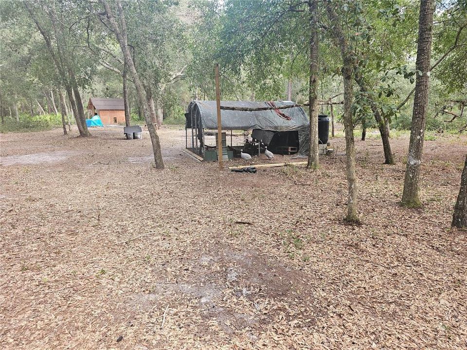 待售: $285,000 (7.00 acres)