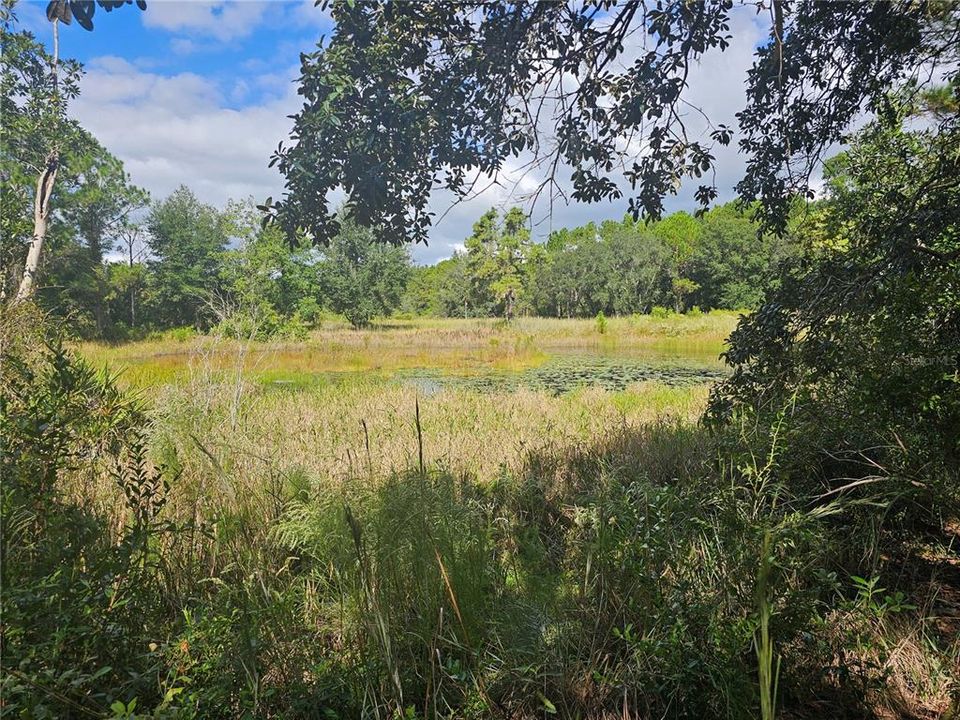 待售: $285,000 (7.00 acres)