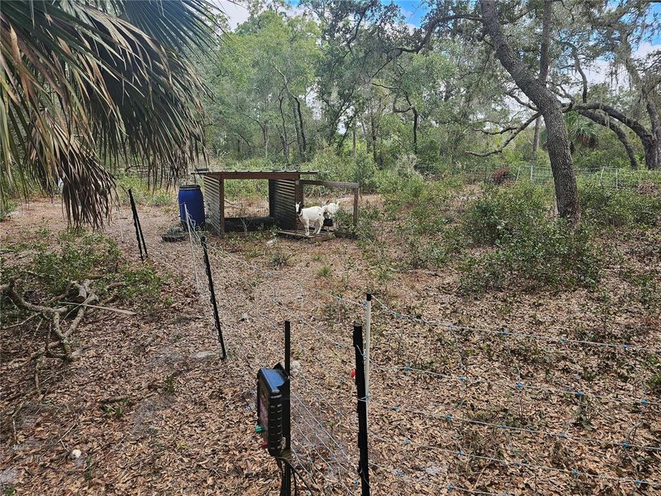 待售: $285,000 (7.00 acres)