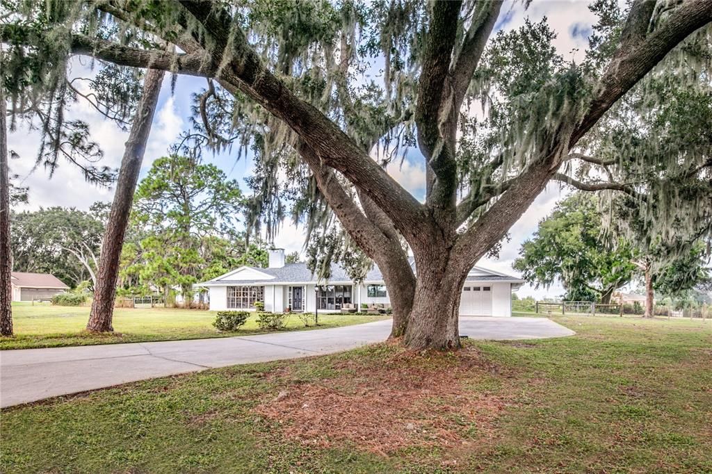 For Sale: $699,999 (3 beds, 2 baths, 2679 Square Feet)