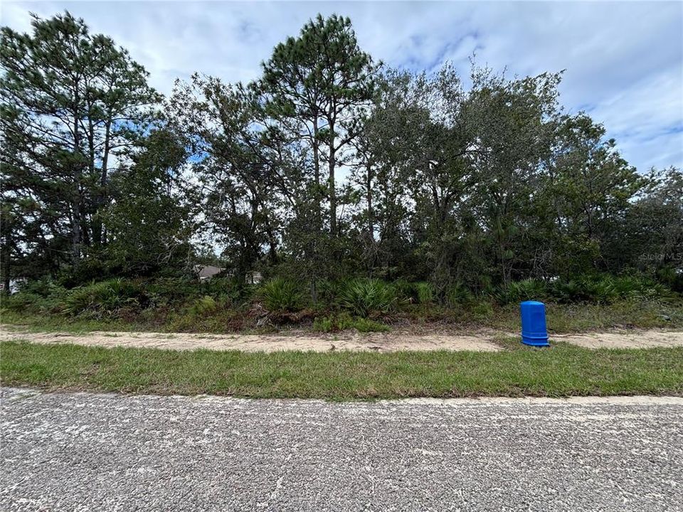 Activo con contrato: $23,500 (0.34 acres)