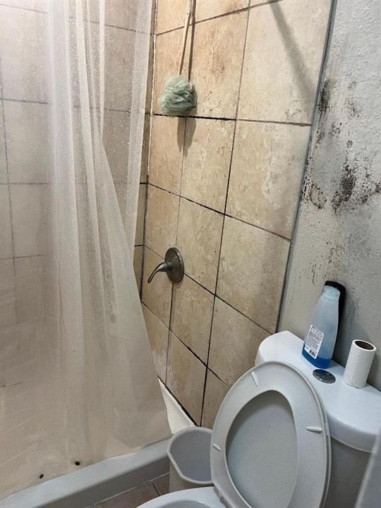 待售: $77,500 (1 贝兹, 1 浴室, 312 平方英尺)