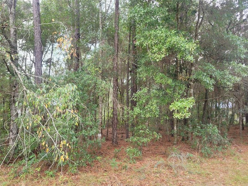 En Venta: $24,500 (0.33 acres)