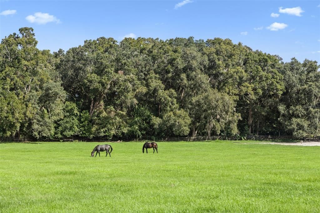 For Sale: $2,500,000 (0 beds, 0 baths, 2738 Square Feet)