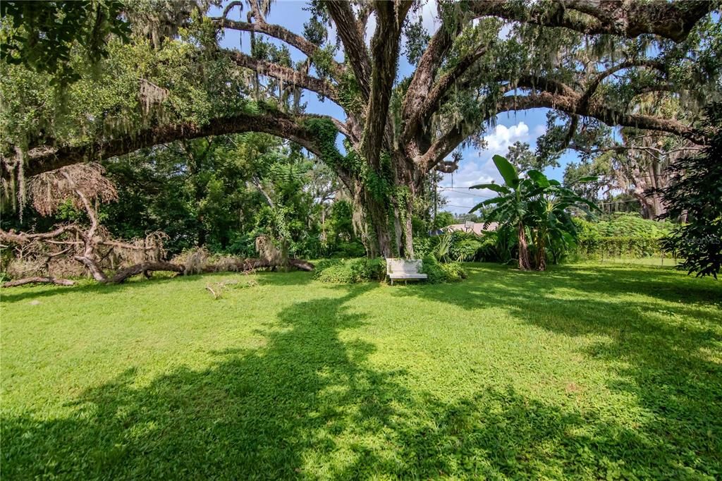 待售: $450,000 (3 贝兹, 0 浴室, 2146 平方英尺)