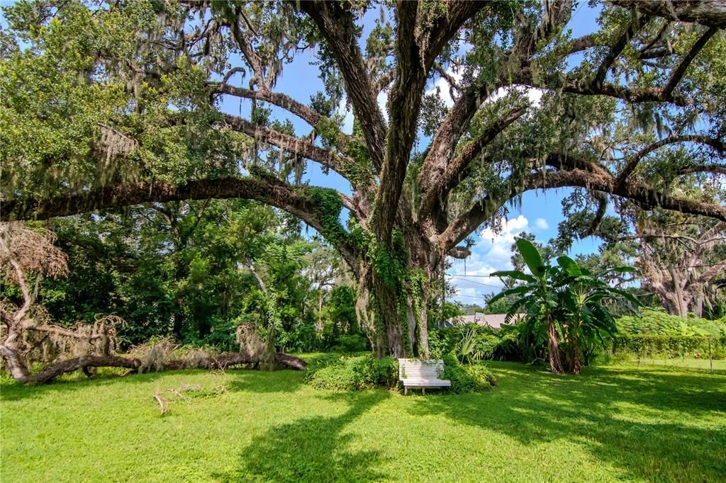 待售: $450,000 (3 贝兹, 0 浴室, 2146 平方英尺)