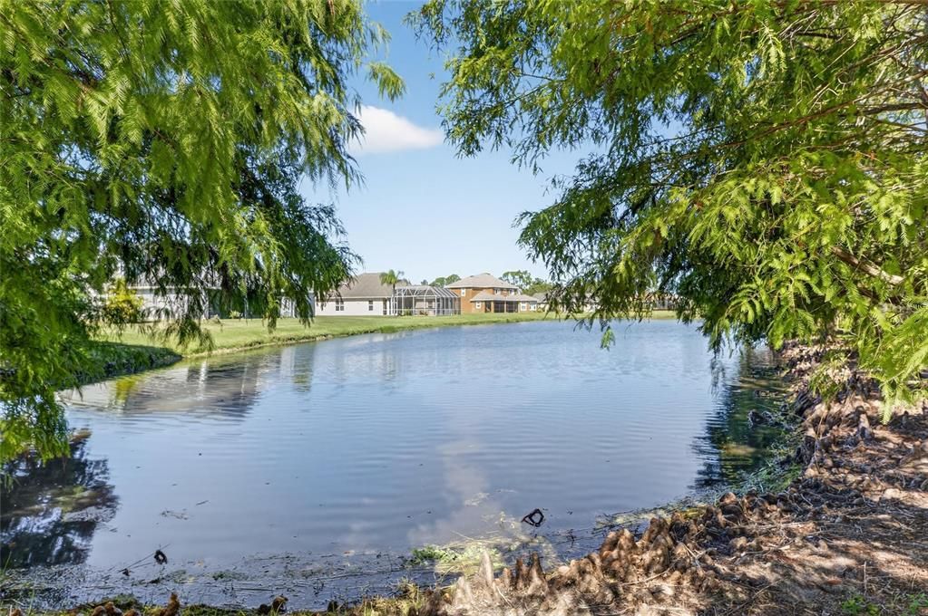 En Venta: $899,900 (4 camas, 3 baños, 3377 Pies cuadrados)