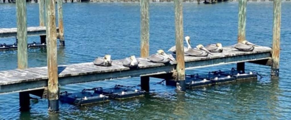 На продажу: $415,000 (3 спален, 2 ванн, 1468 Квадратных фут)