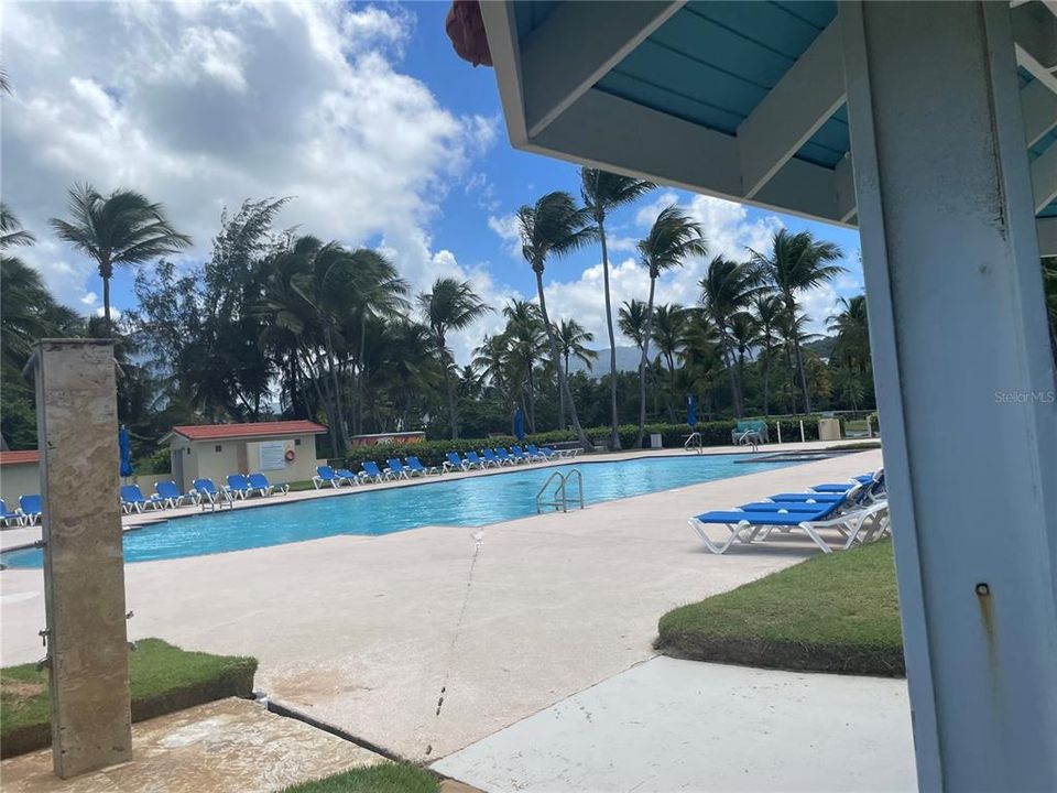 For Sale: $350,000 (1 beds, 1 baths, 595 Square Feet)