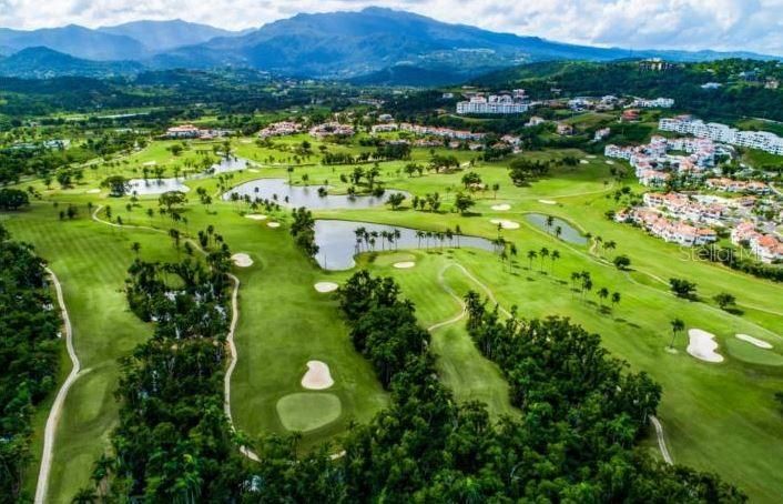 For Sale: $350,000 (1 beds, 1 baths, 595 Square Feet)