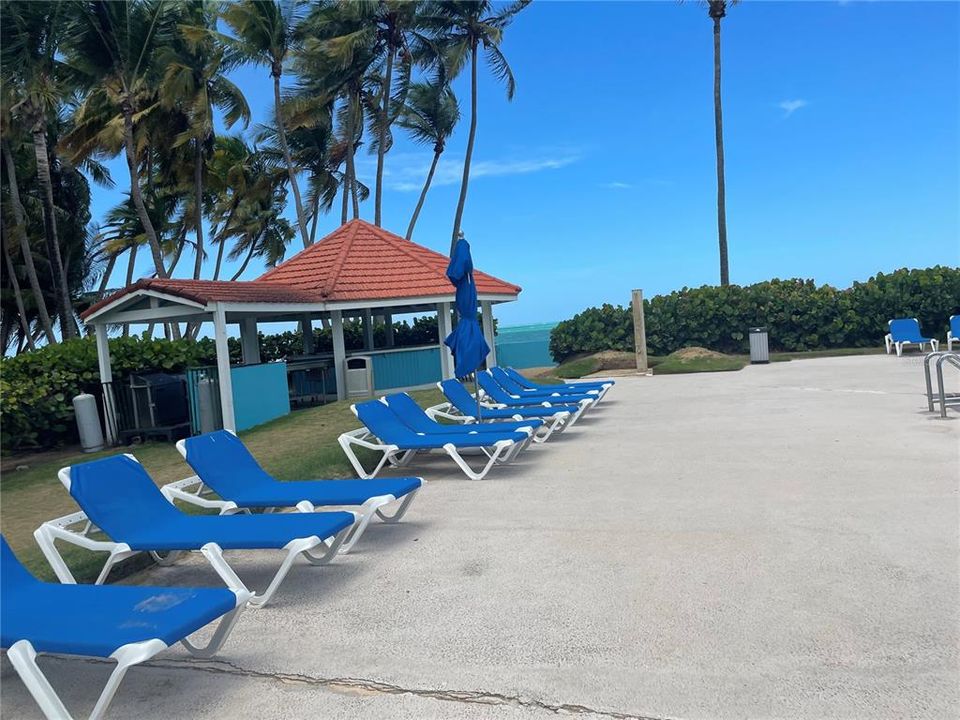 For Sale: $350,000 (1 beds, 1 baths, 595 Square Feet)