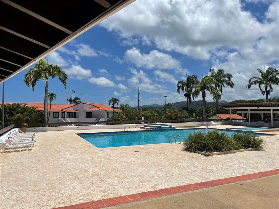 For Sale: $350,000 (1 beds, 1 baths, 595 Square Feet)