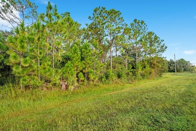 待售: $230,000 (2.17 acres)