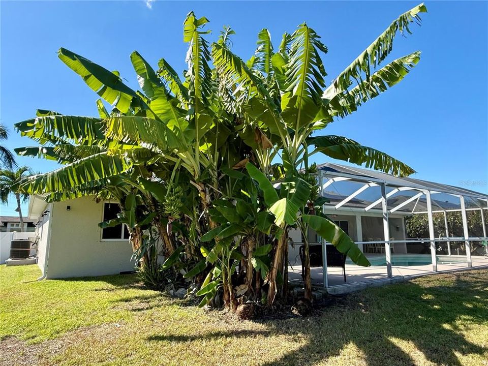 For Sale: $467,000 (3 beds, 2 baths, 1819 Square Feet)