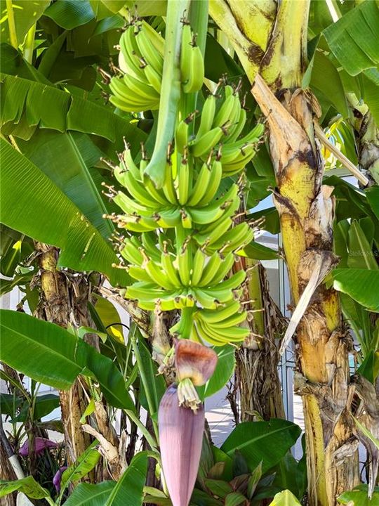 For Sale: $467,000 (3 beds, 2 baths, 1819 Square Feet)