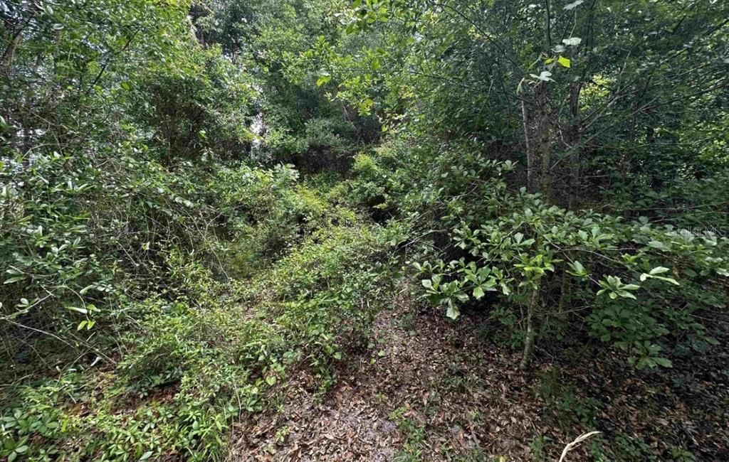 En Venta: $159,900 (20.24 acres)