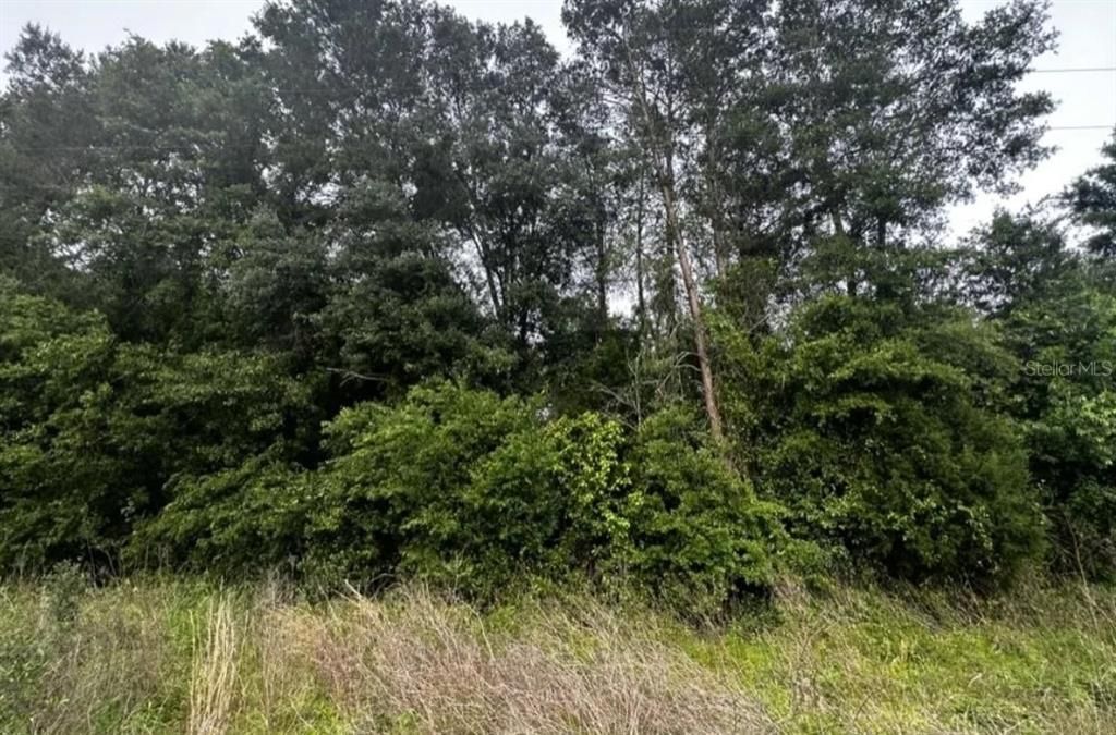 En Venta: $159,900 (20.24 acres)