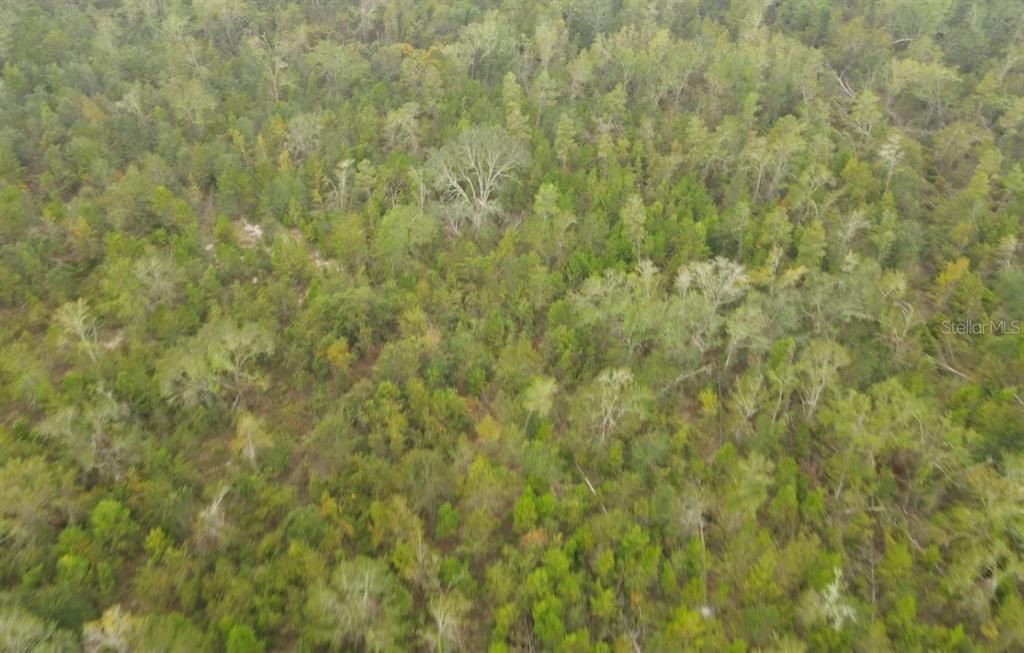 En Venta: $159,900 (20.24 acres)