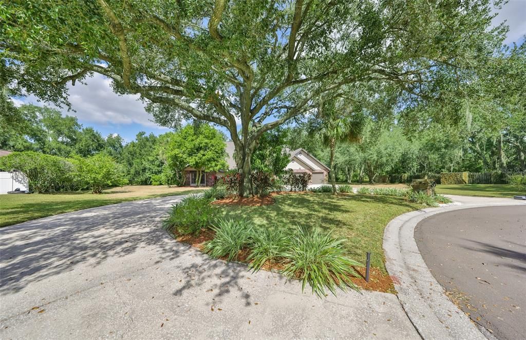 En Venta: $725,000 (5 camas, 4 baños, 4373 Pies cuadrados)