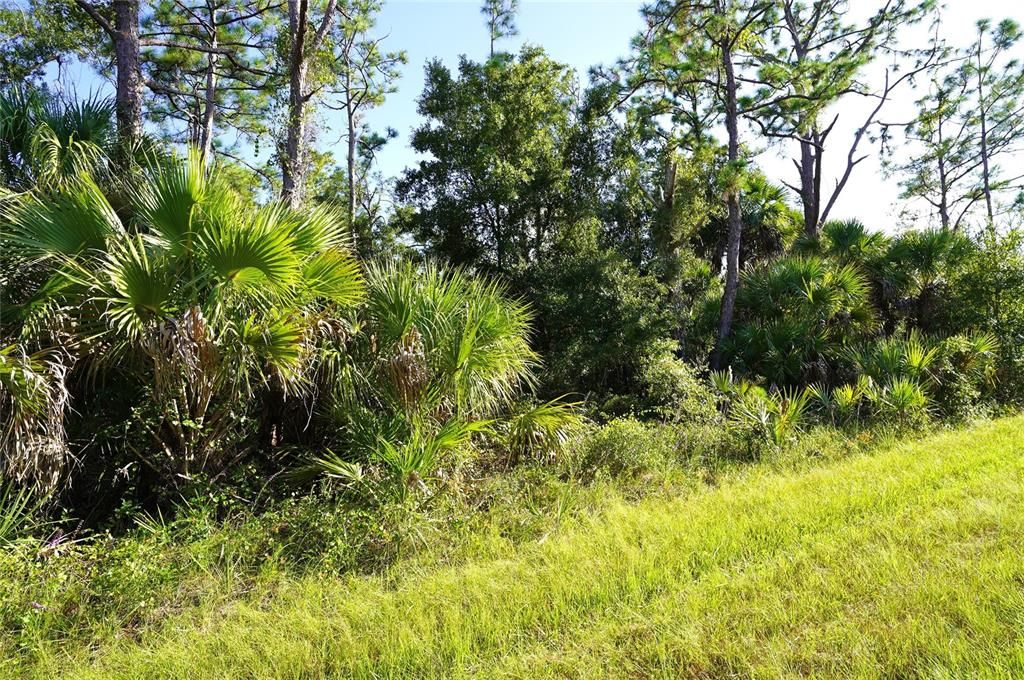 For Sale: $12,500 (0.23 acres)