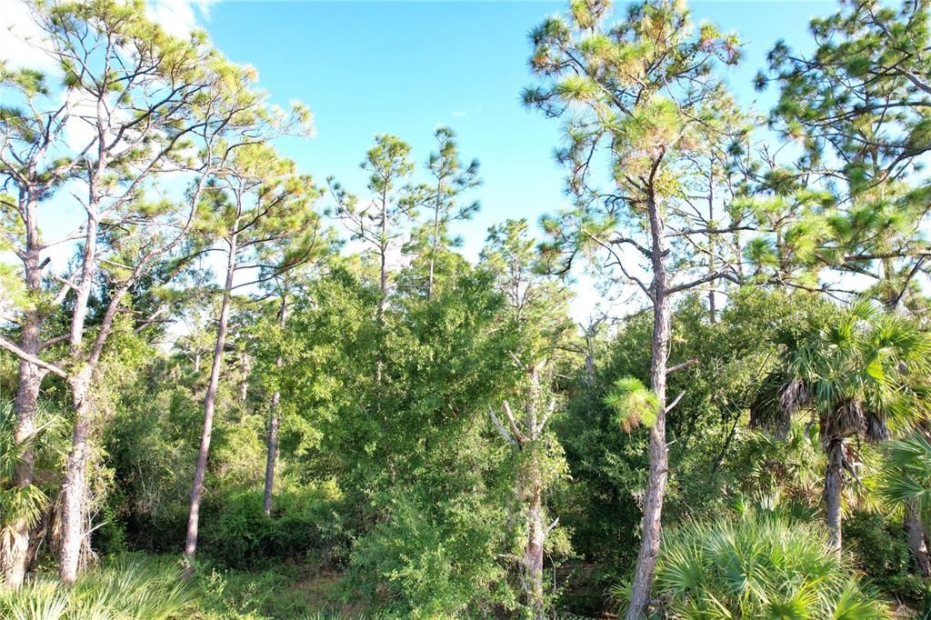 For Sale: $12,500 (0.23 acres)