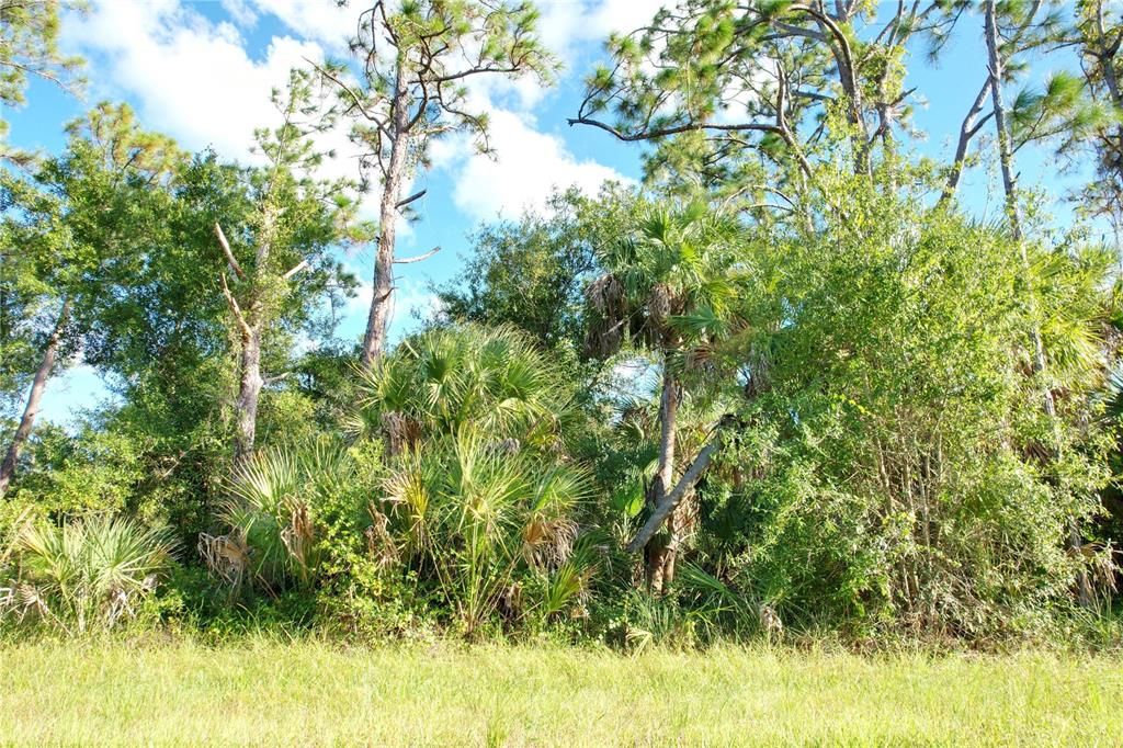 For Sale: $12,500 (0.23 acres)