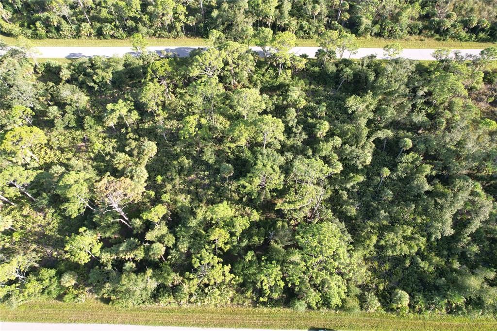 For Sale: $12,500 (0.23 acres)