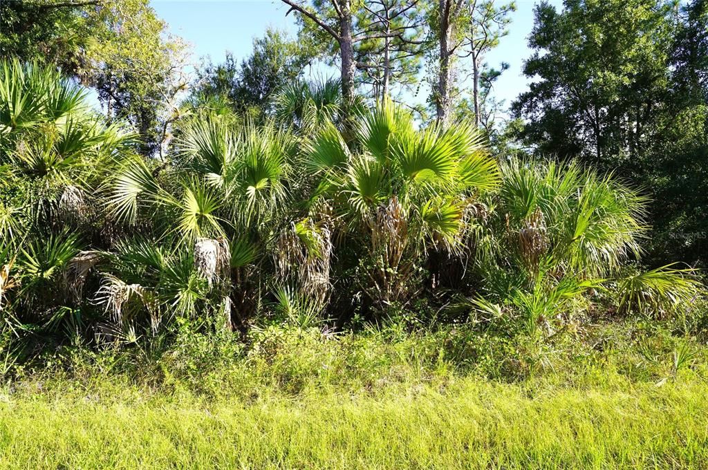 For Sale: $12,500 (0.23 acres)