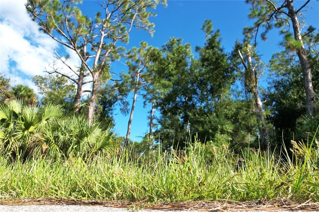 For Sale: $12,500 (0.23 acres)