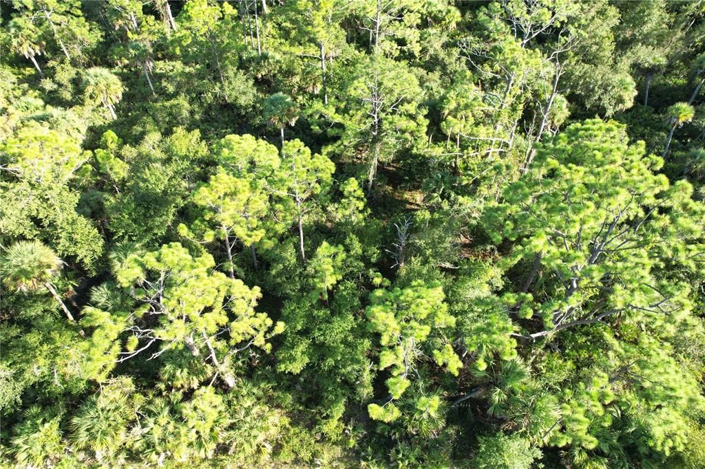 For Sale: $12,500 (0.23 acres)