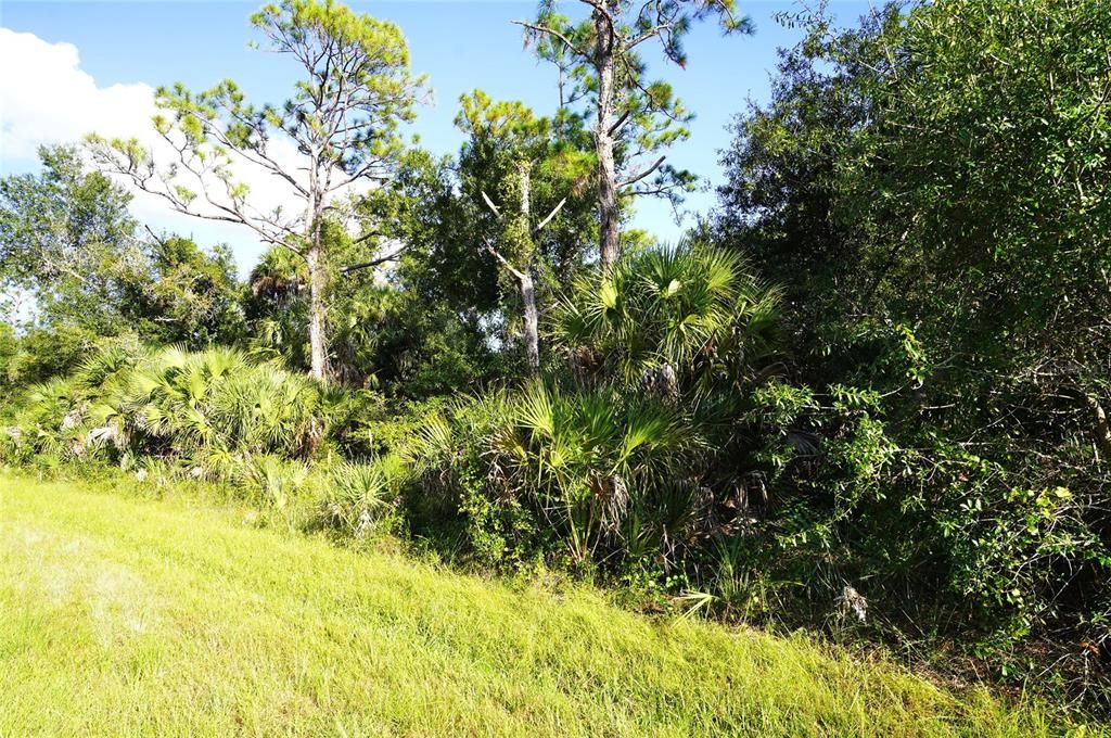 For Sale: $12,500 (0.23 acres)