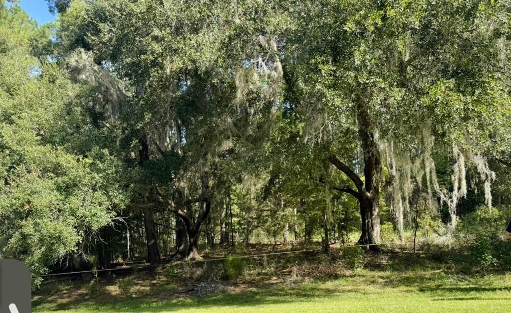 En Venta: $120,000 (3.07 acres)