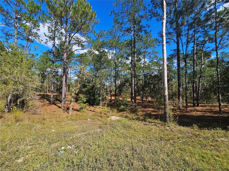 Active With Contract: $20,000 (1.25 acres)