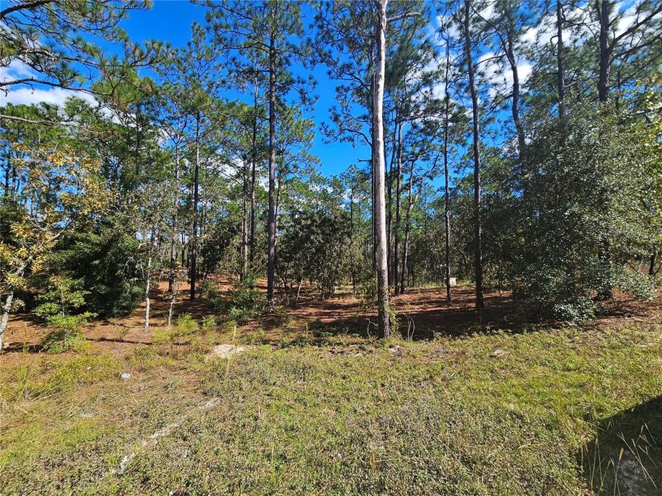Active With Contract: $20,000 (1.25 acres)