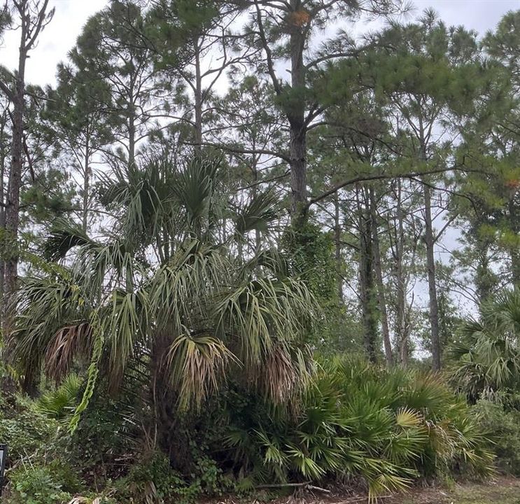 待售: $75,000 (0.24 acres)