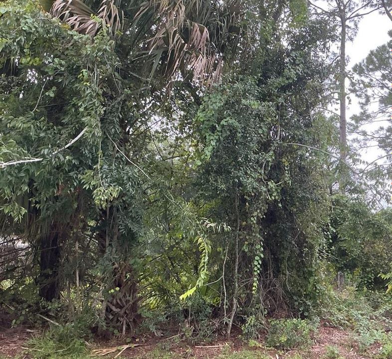 待售: $75,000 (0.24 acres)