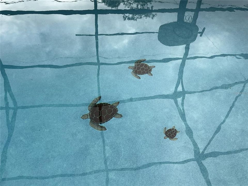 На продажу: $319,900 (3 спален, 2 ванн, 1495 Квадратных фут)