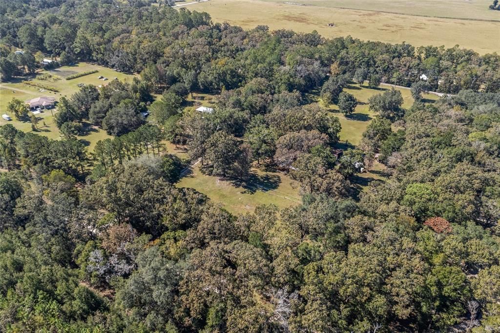 待售: $350,000 (3 贝兹, 2 浴室, 1680 平方英尺)