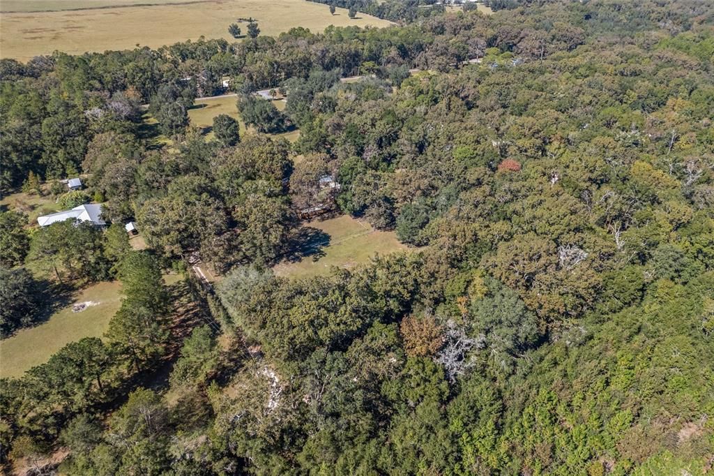 待售: $350,000 (3 贝兹, 2 浴室, 1680 平方英尺)