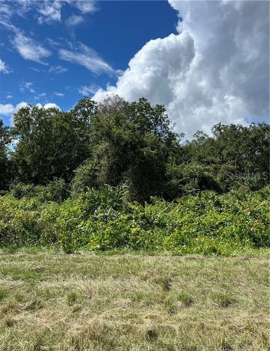 For Sale: $15,900 (1.15 acres)