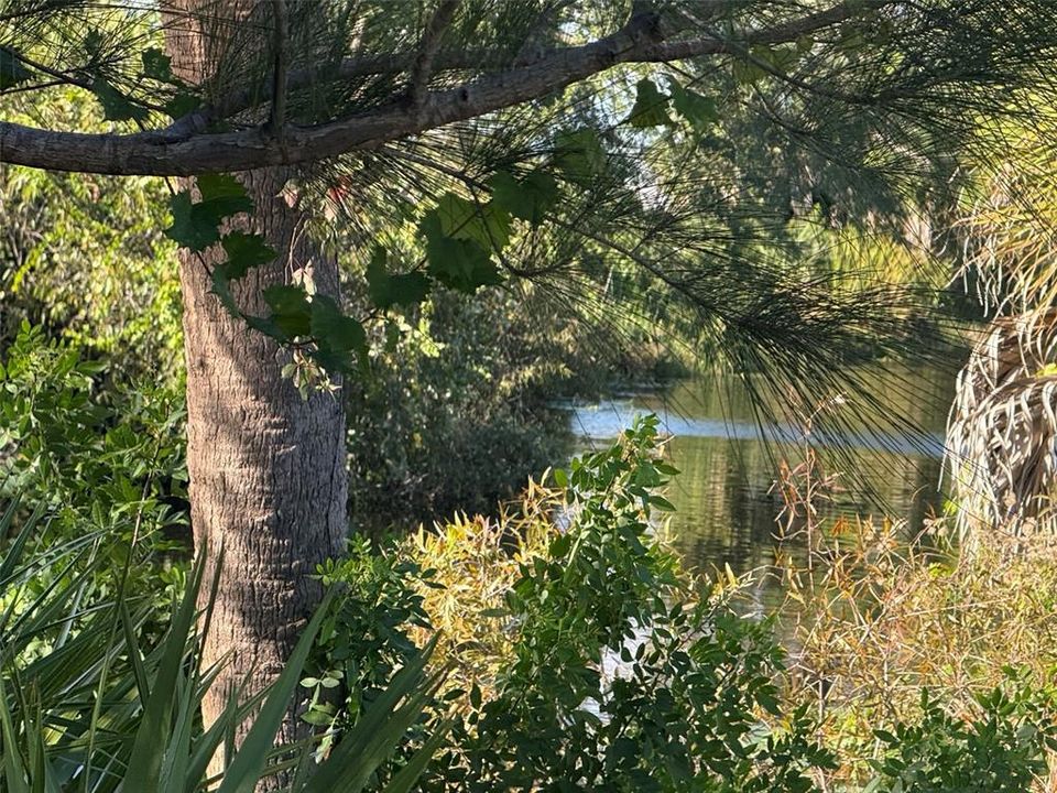 For Sale: $33,900 (0.23 acres)