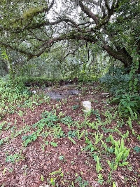 En Venta: $271,000 (1.83 acres)