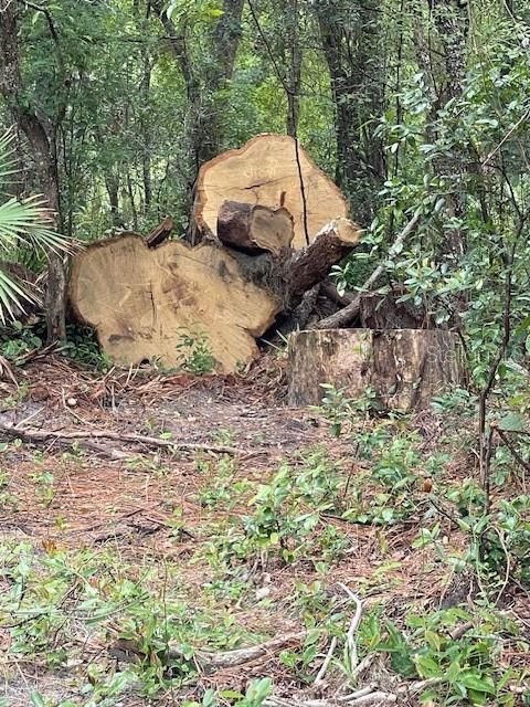 En Venta: $271,000 (1.83 acres)