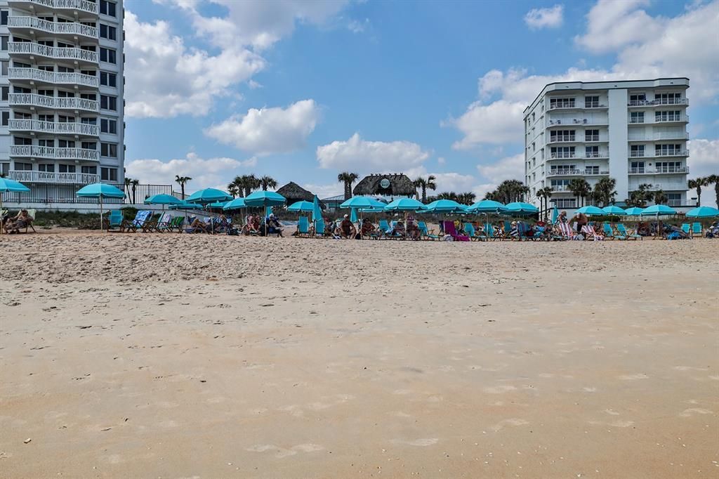 待售: $650,000 (3 贝兹, 2 浴室, 2402 平方英尺)