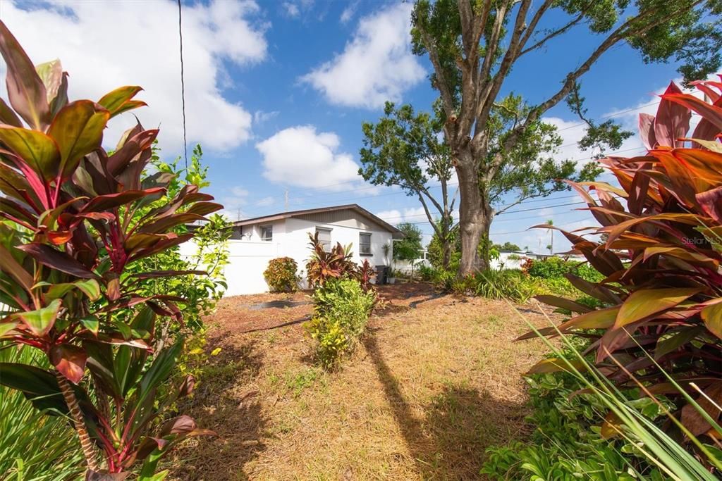 待售: $440,000 (2 贝兹, 0 浴室, 1197 平方英尺)