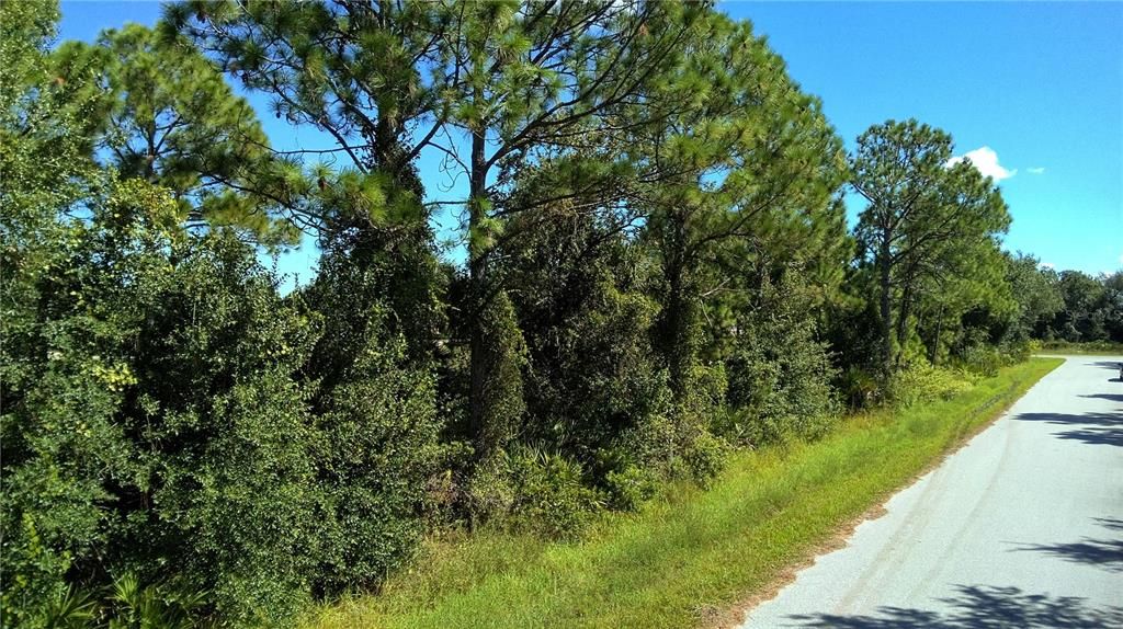 待售: $39,900 (0.23 acres)